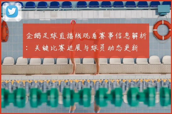 企鹅足球直播线观看赛事信息解析：关键比赛进展与球员动态更新