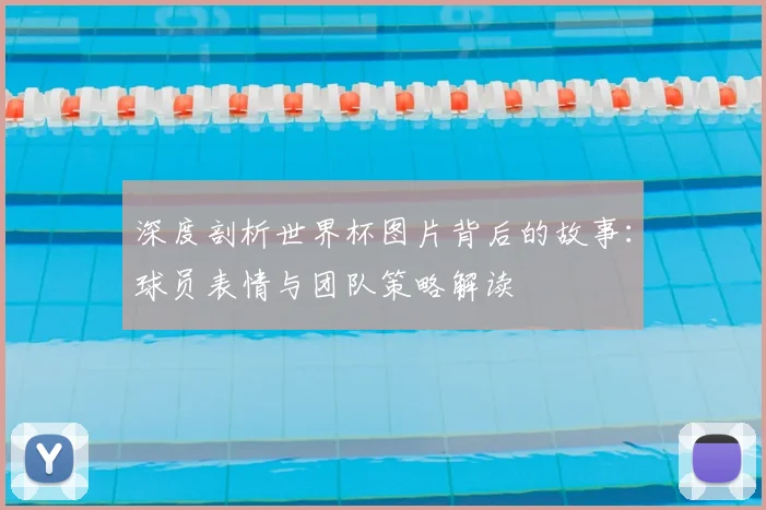 深度剖析世界杯图片背后的故事：球员表情与团队策略解读