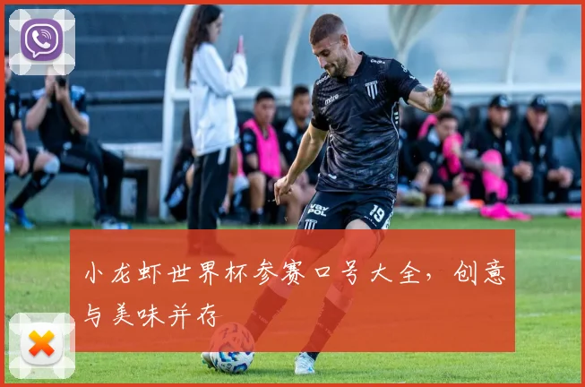 小龙虾世界杯参赛口号大全，创意与美味并存