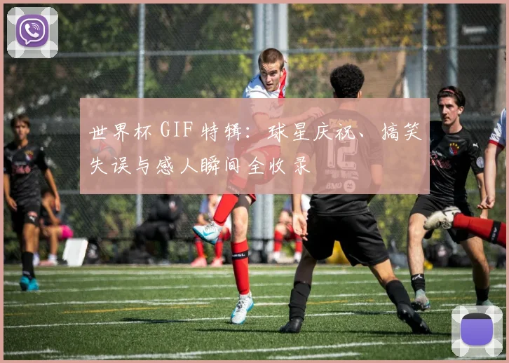 世界杯 GIF 特辑：球星庆祝、搞笑失误与感人瞬间全收录