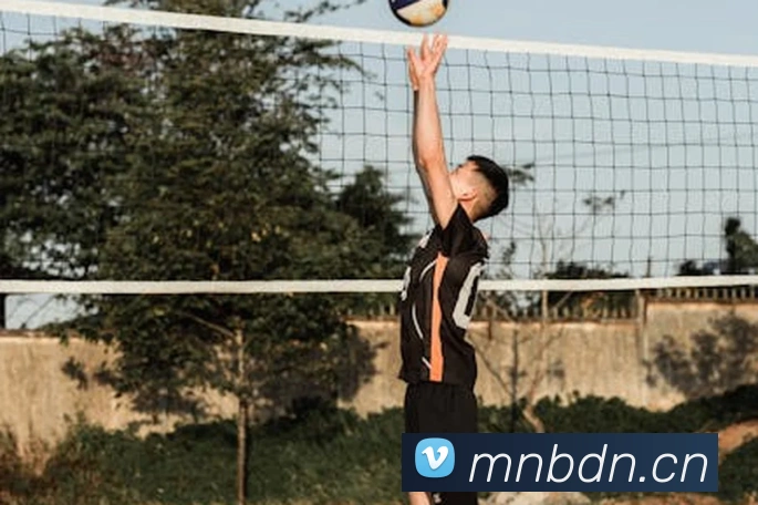 半岛在线登录入口平台生态图