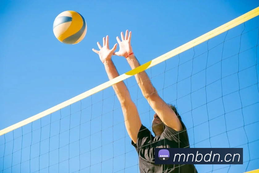 半岛在线登录入口APP 封面图